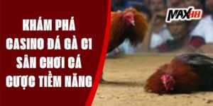 Khám Phá Casino Đá Gà C1 - Sân Chơi Cá Cược Tiềm Năng