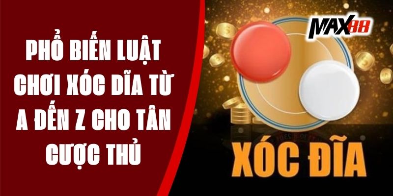 Phổ Biến Luật Chơi Xóc Dĩa Từ A Đến Z Cho Tân Cược Thủ